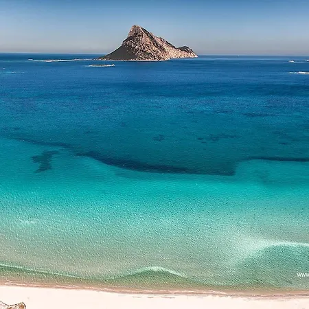 Apartment Aria Di - Gelsi Olbia